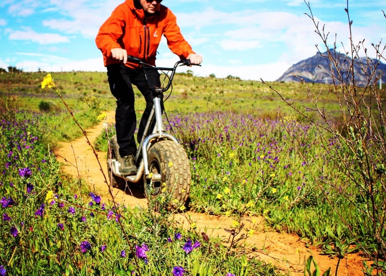 Franschhoek Scootours image 6