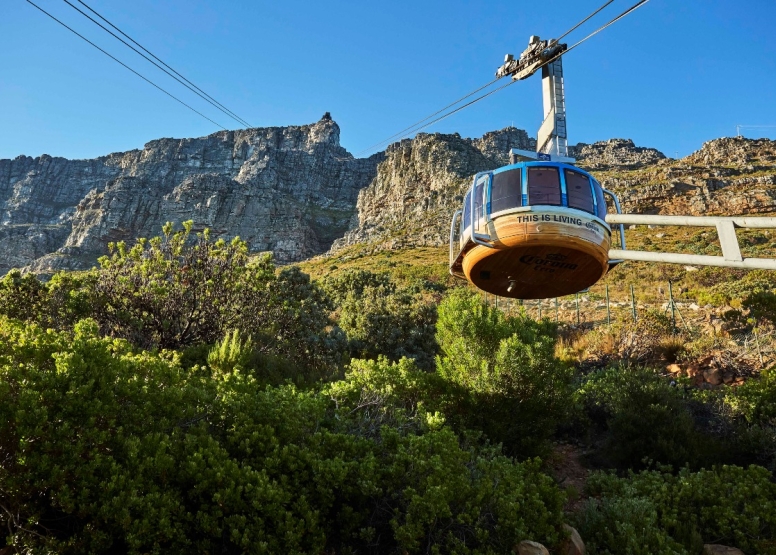 Table Mountain Cable Way Return Ticket image 9