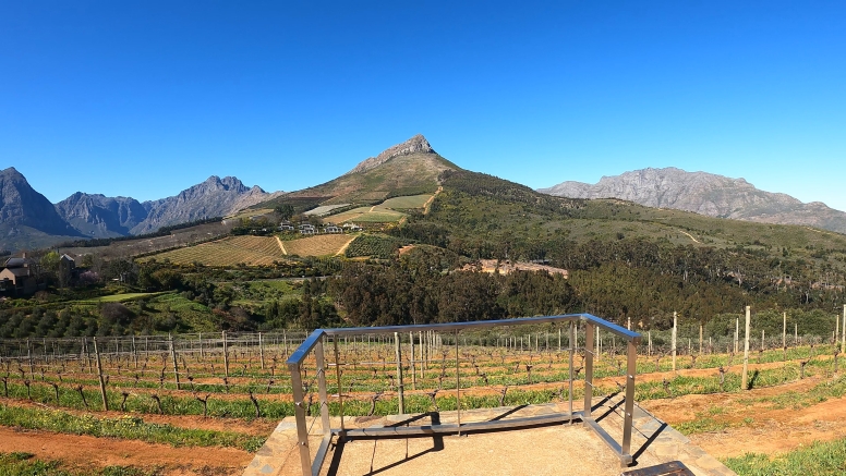 Banhoek Half Day E Vinebike Tour Stellenbosch image 3