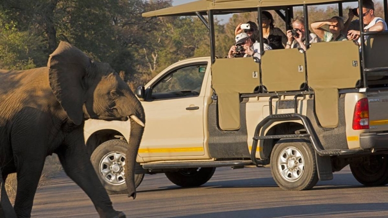 Full Day KNP Safari With Open Vehicle image 3