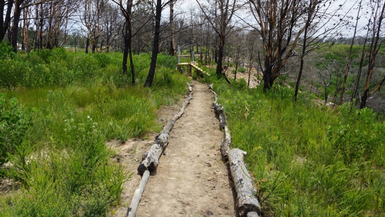 Plett Zipline Adventures image 6