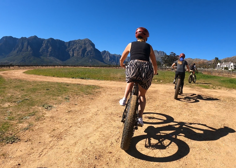 Banhoek Half Day E Vinebike Tour Stellenbosch image 2