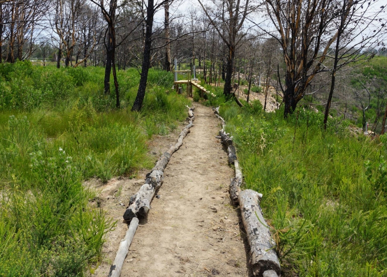 Plett Zipline Adventures image 6