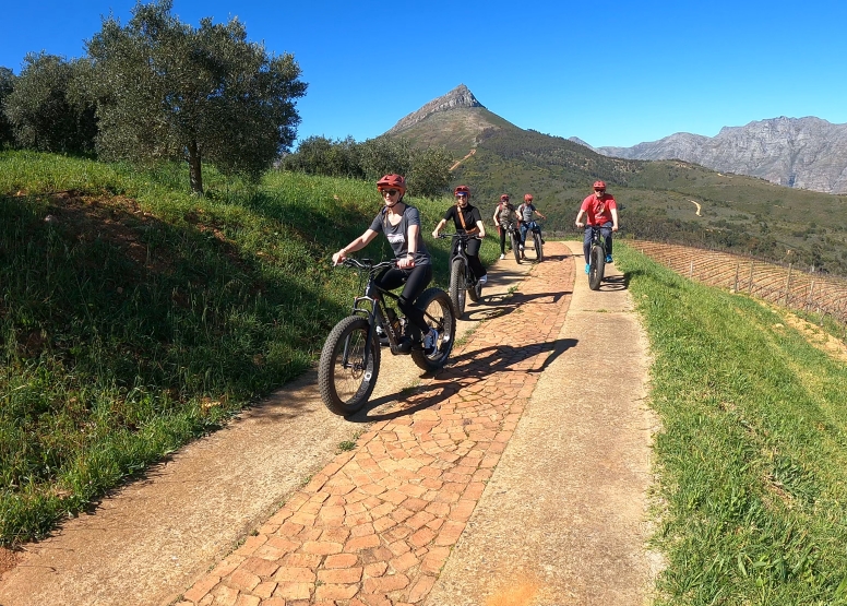Banhoek Half Day E Vinebike Tour Stellenbosch image 4