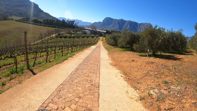 Banhoek Half Day E Vinebike Tour Stellenbosch image 5