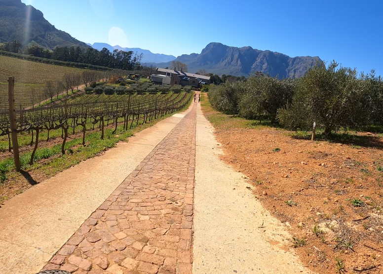 Banhoek Half Day E Vinebike Tour Stellenbosch image 5
