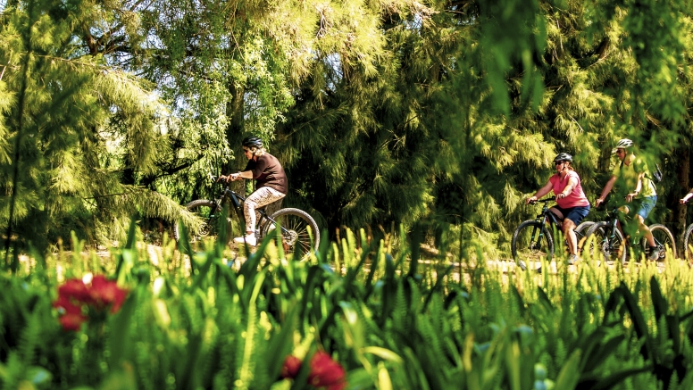 Stellenbosch Winelands Luxury EBike Cycle Tour image 5