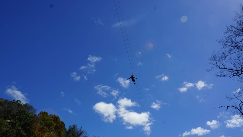 Plett Zipline Adventures image 7