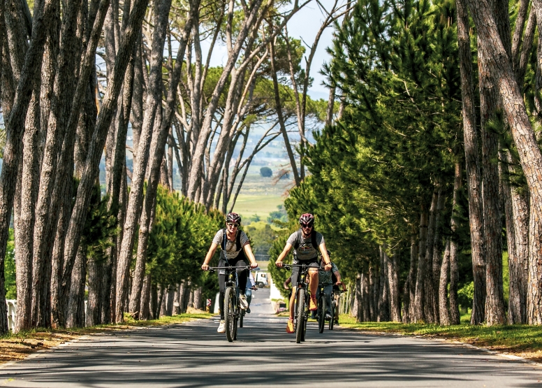 Stellenbosch Winelands Luxury EBike Cycle Tour image 6