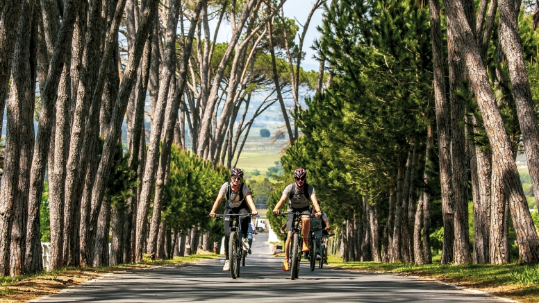 Stellenbosch Winelands Luxury EBike Cycle Tour image 6