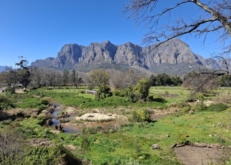 Scootours Banhoek Stellenbosch image 4