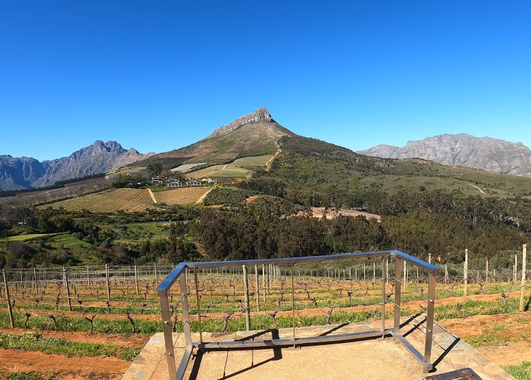 Banhoek Half Day E Vinebike Tour Stellenbosch image 3