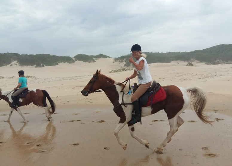 Beach Horse Ride 90mins image 1