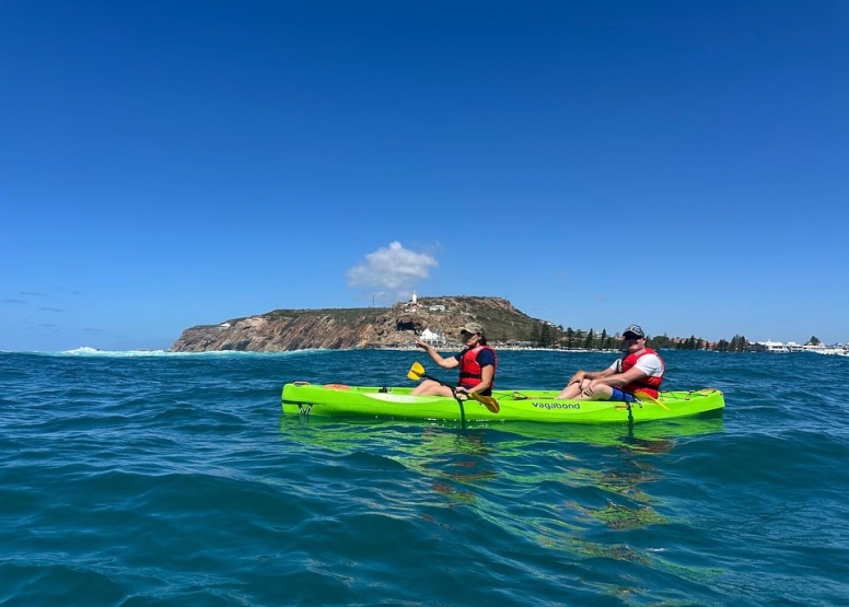 Kayak Adventures Mossel Bay image 1