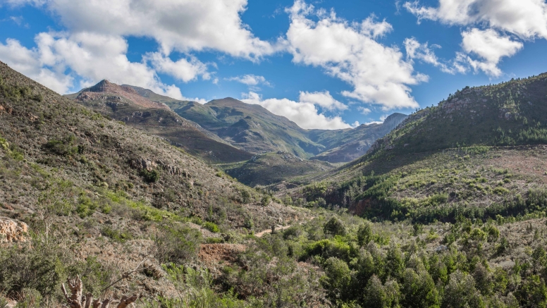 Quad Bike Trails Hermanus image 7