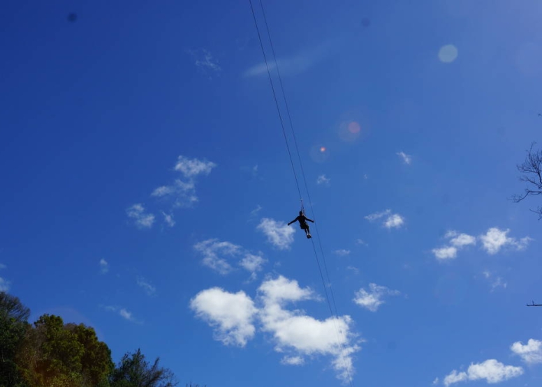 Plett Zipline Adventures image 7