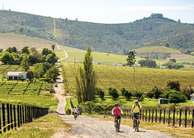 Stellenbosch Vineyard Meander image 5