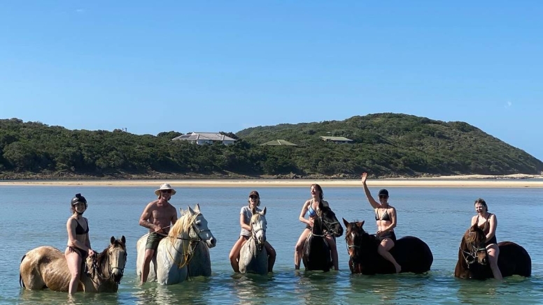 Full Day Beach Horse Ride image 7