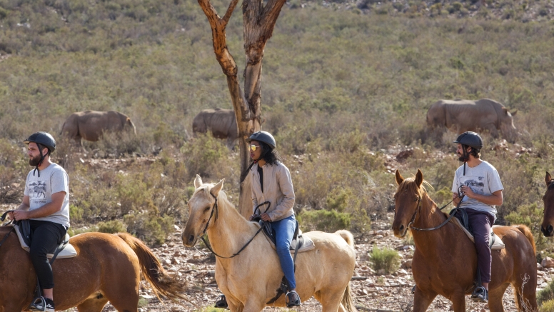 Horseback Safari image 6