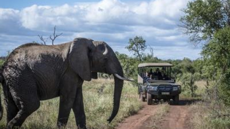 LION SAFARI PACKAGE 3D/2N image 4