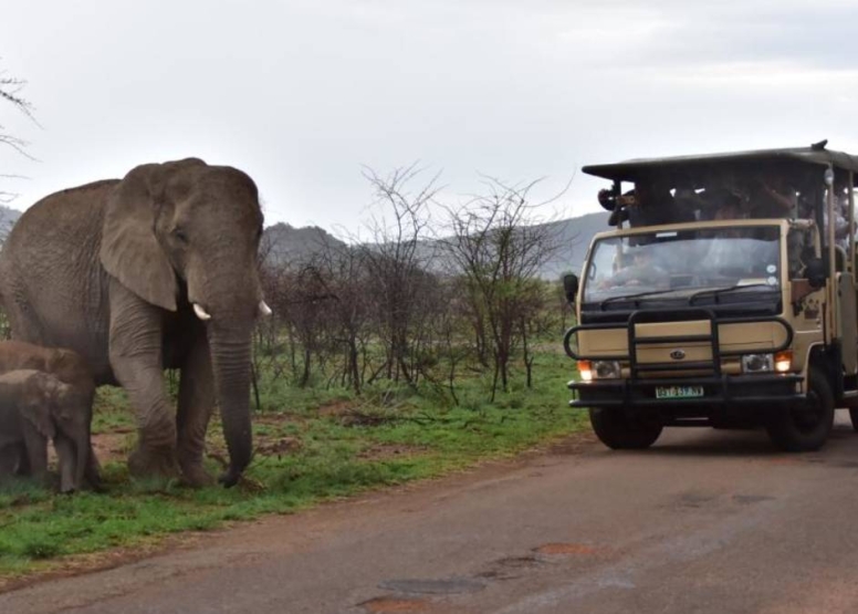 Scheduled Game Drive Manyane Gate Pilanesberg Game Reserve image 2