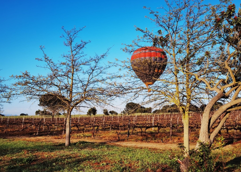Hot Air Balloon Cape Town image 3