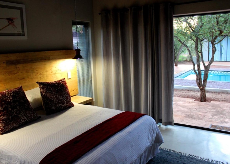 LION SAFARI PACKAGE 3D/2N image 3