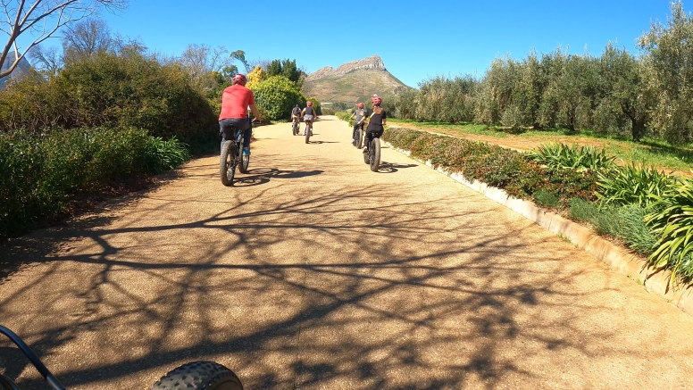 Banhoek Full Day E Vinebike Tour Stellenbosch image 9