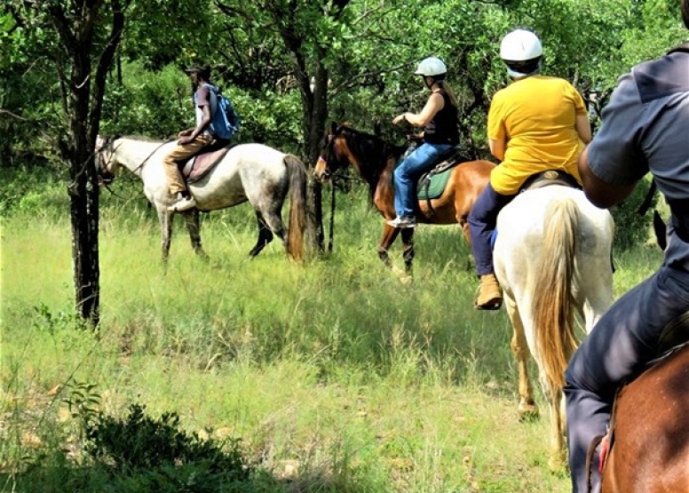 1 Hour Midday Breakaway Horse Ride Harties image 3
