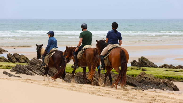 Full Day Beach Horse Ride image 1