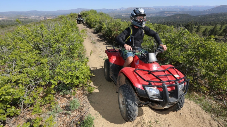 50 Min Quad Bike Ride Rebel Holt Knysna image 3