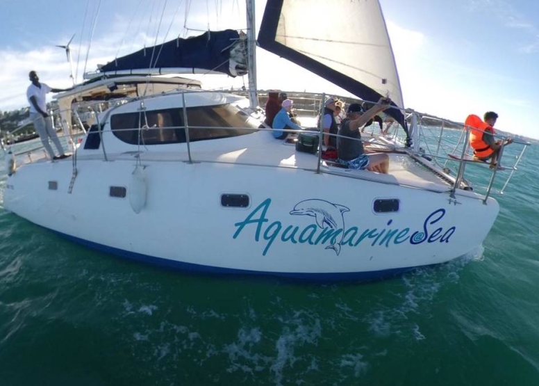 Aquamarine Seal Island Cruise image 14