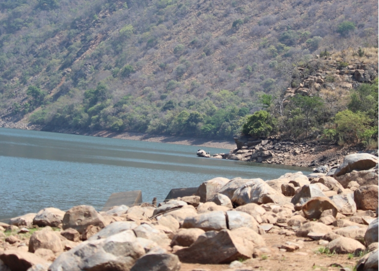 BLyde River Canyon and Moholoholo Wildlife Rehab Centre - 1 Day image 3