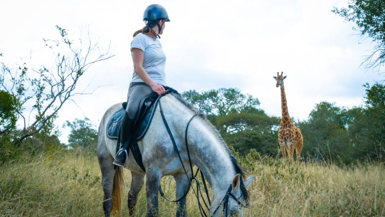 2 Hour Horseback Trail Hoedspruit image 1