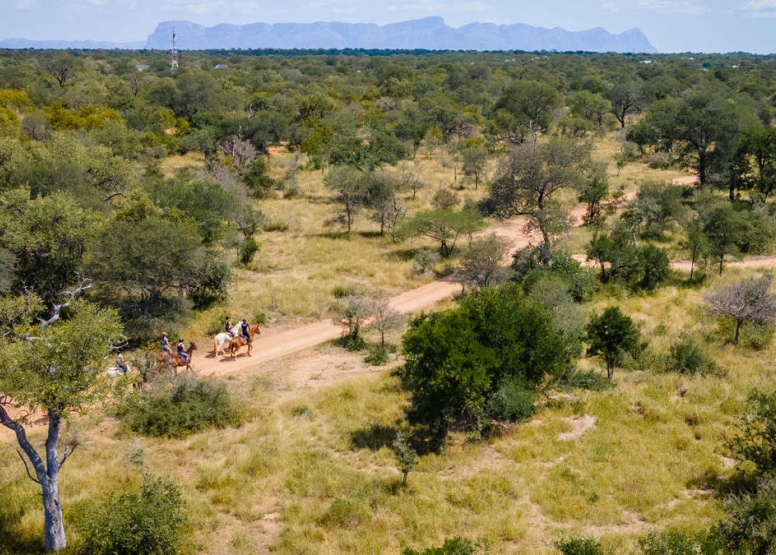 1 Hour Horseback Trail Hoedspruit image 1