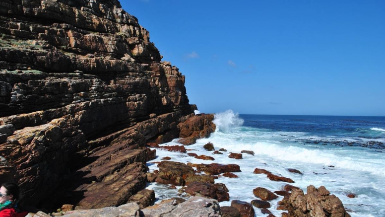 Cape Peninsula Full-Day Tour image 1