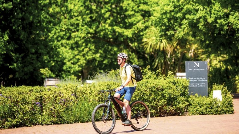 Stellenbosch Half Day Winelands EBike Tour image 6