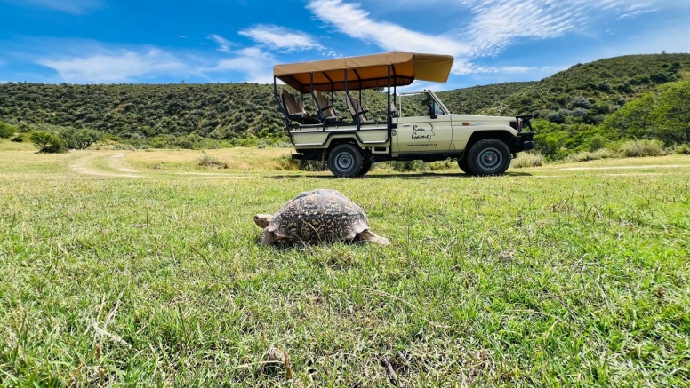 Game Drive image 1