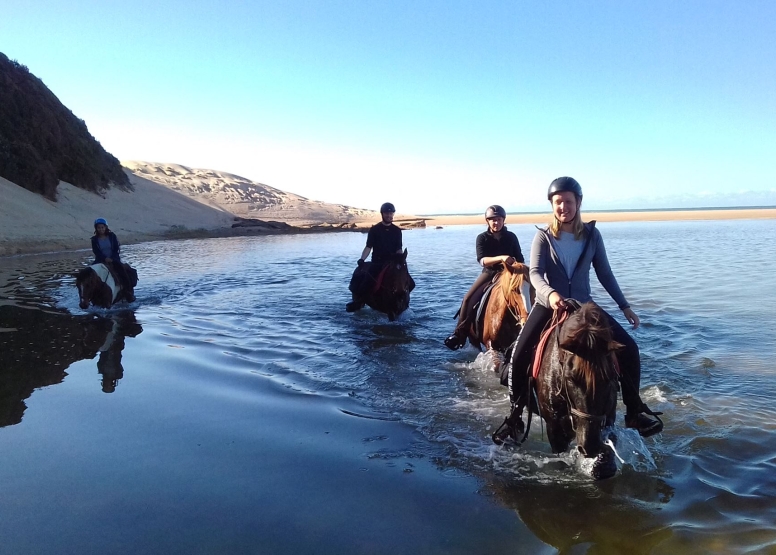 Full Day Beach Horse Ride image 8