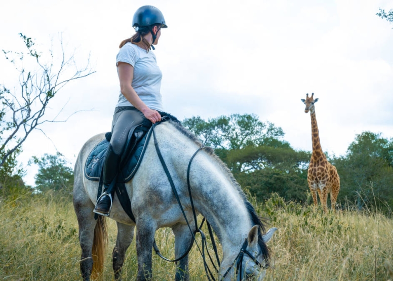 2 Hour Horseback Trail Hoedspruit image 1