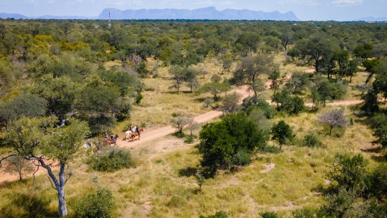 1 Hour Horseback Trail Hoedspruit image 1