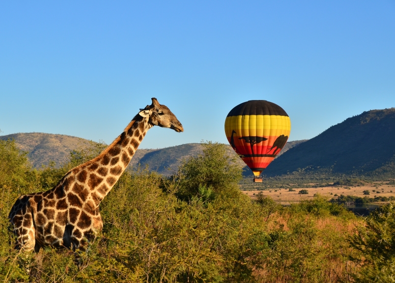 Pilanesberg Hot Air Balloon Safari image 4