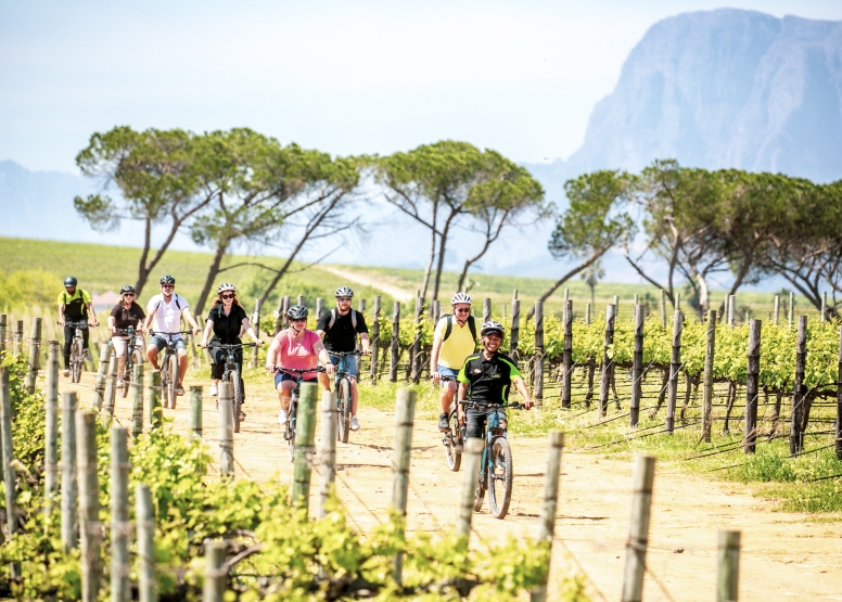 Stellenbosch Half Day Winelands Cycle Tour image 5