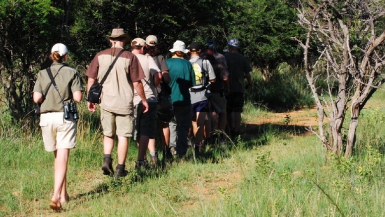 Bush Walk in the Kruger National Park image 2