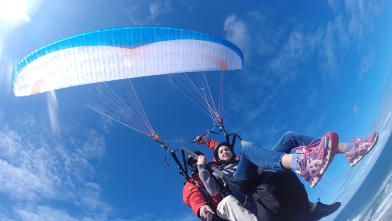Dolphin Tandem Paragliding Garden Route image 5