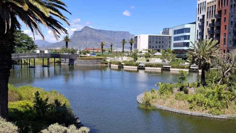 Cetury City Water Bike Experience image 2