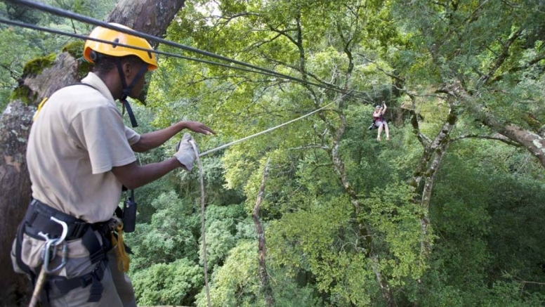 Drakensberg Canopy Tour image 6