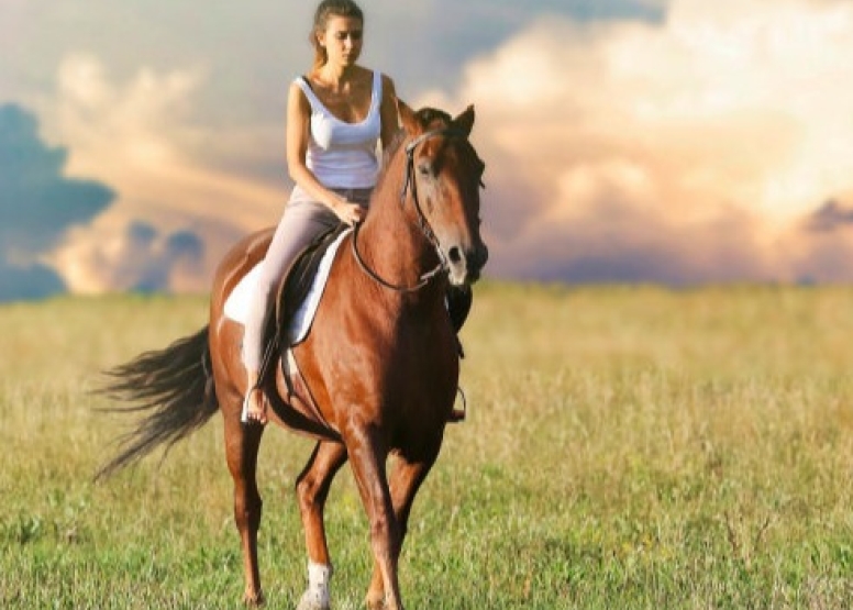 Horseback Riding at Cullinan image 3