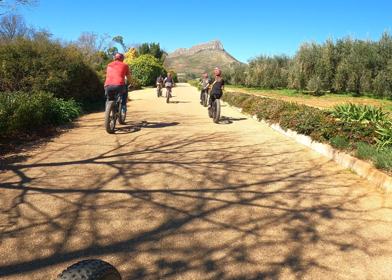 Banhoek Full Day E Vinebike Tour Stellenbosch image 9