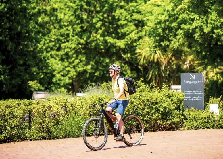 Stellenbosch Half Day Winelands EBike Tour image 6